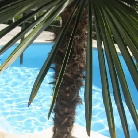 Deluxe Pool-apartment